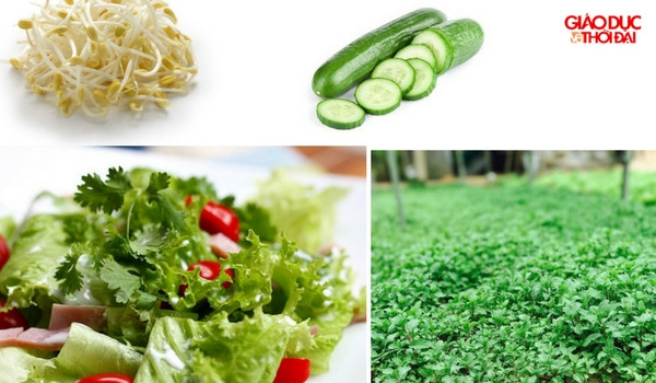 Làm phong phú thêm thực đơn mùa hè. Làm phong phú thêm thực đơn mùa hè.