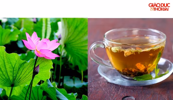 6 bài thuốc trà thảo dược dùng thích hợp cho người tăng huyết áp