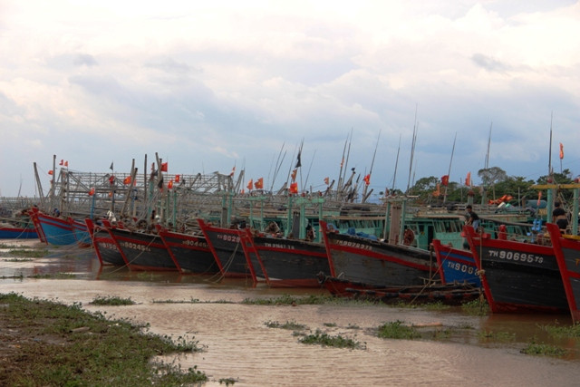 Tàu, thuyền của ngư dân vào neo đậu tại âu tránh bão xã Hòa Lộc, huyện Hậu Lộc (Thanh Hóa)
