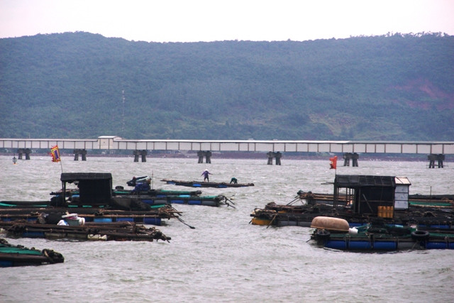 Lồng nuôi cá của người dân xã Nghi Sơn (Tĩnh Gia, Thanh Hóa) được kéo vào nơi tránh trú bão.