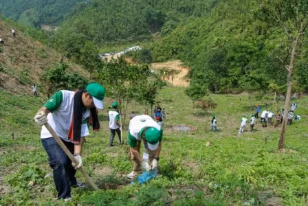 Hà Nội trồng mới thêm 147 ha rừng