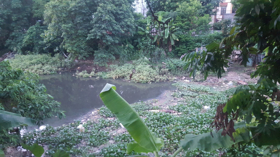 Những hộ dân sống ven sông Nhuê đoạn qua phường La Khê, Hà Đông, TP Hà Nội cũng khốn khổ vì mùi hôi nước đen ngòm từ rác thải dưới sông bốc lên