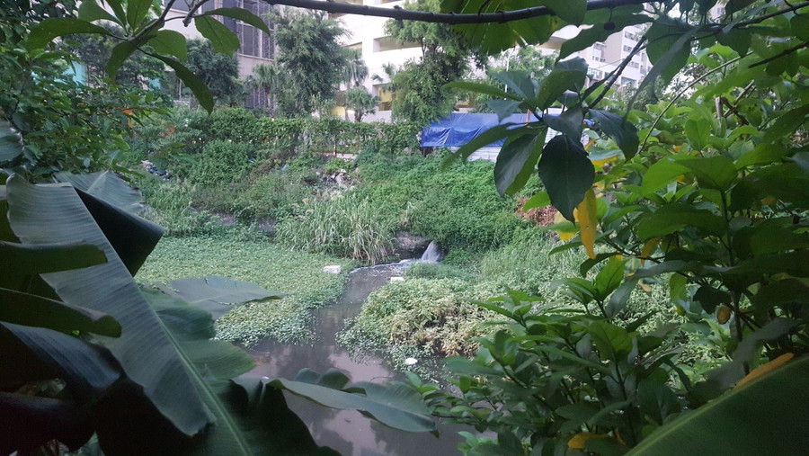 Nước thải sinh hoạt cũng như nước thải từ các nhà xưởng chưa qua xử lý ngày đêm xả ra bức tử các dòng sông ở thủ đô