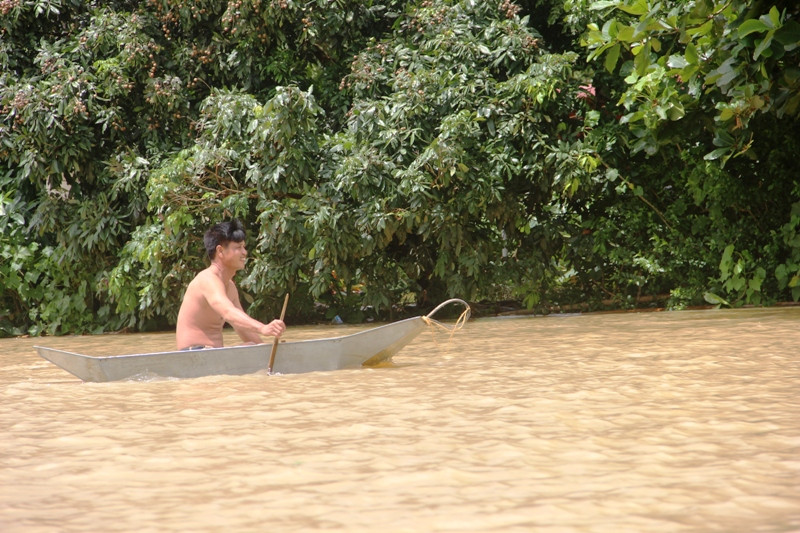 Nước lũ ngập gần ngọn cây.