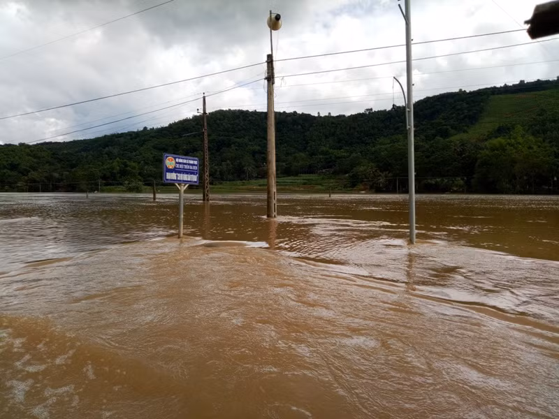 Tỉnh lộ 523 (đoạn qua xã Thành Trực, Thạch Thành) bị chìm trong biển nước.