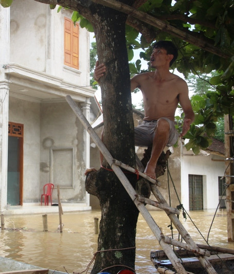 Một gia đình ở thôn Đa Đụn, xã Thành Trực phải dựa vào cấy lớn trước nhà làm cầu thang lên tầng, tránh lũ.