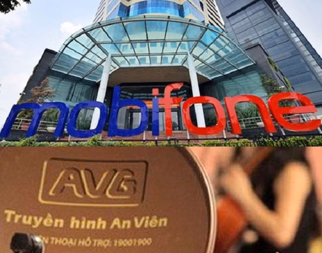 Thanh tra Chính phủ kiến nghị khởi tố điều tra, xử lý đúng người, đúng vi phạm, đúng pháp luật