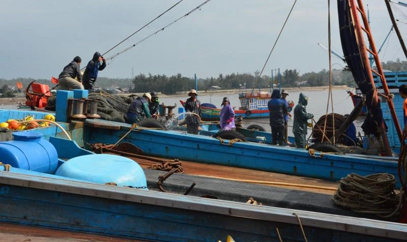 Tàu thuyền vào bờ tránh bão.