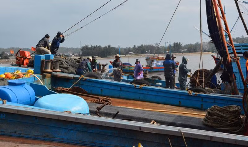 Tàu thuyền vào bờ tránh bão.