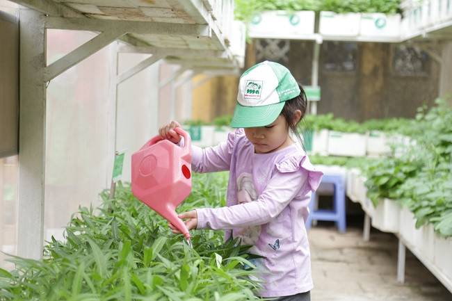 Bé chăm sóc rau tại vườn rau sạch.