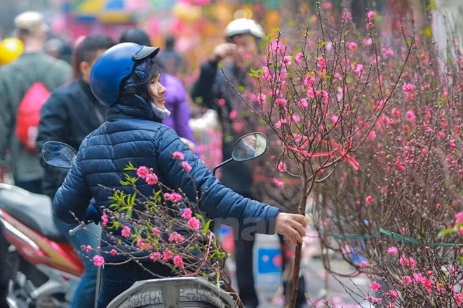 Ảnh minh họa. (Nguồn: PV/Vietnam+)