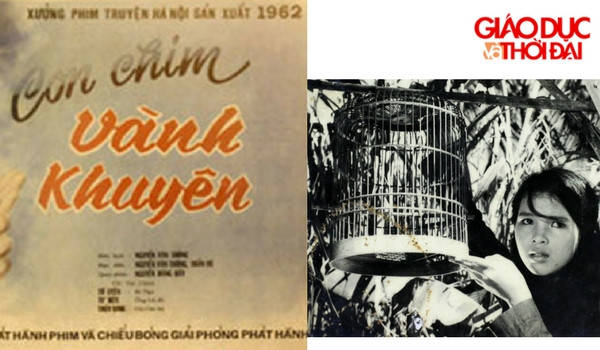 Những hình ảnh không quên của khán giả Việt Nam từ Con chim Vàng Khuyên… Những hình ảnh không quên của khán giả Việt Nam từ Con chim Vàng Khuyên…