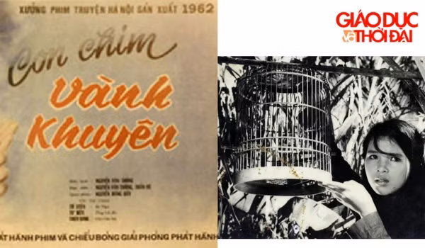 Những hình ảnh không quên của khán giả Việt Nam từ Con chim Vàng Khuyên…