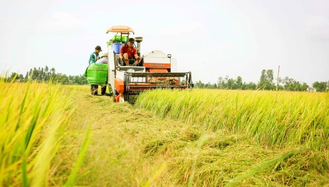 Cần có quy hoạch lại đồng bộ, tích hợp và đổi mới từ tư duy đến mô hình sản xuất để phát triển ĐBSCL