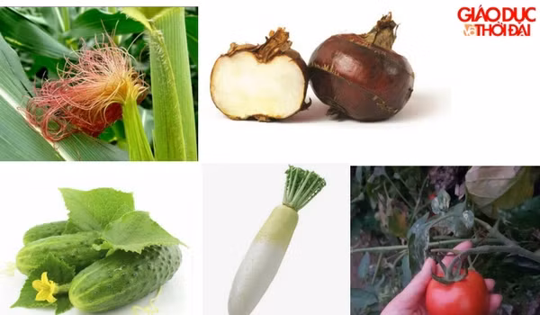 12 cách phòng bệnh tăng huyết áp nhờ ăn uống theo bài thuốc cổ truyền