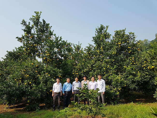 Đoàn cán bộ Sở Khoa học và Công nghệ tỉnh Nghệ An khảo sát thực tế Đoàn cán bộ Sở Khoa học và Công nghệ tỉnh Nghệ An khảo sát thực tế