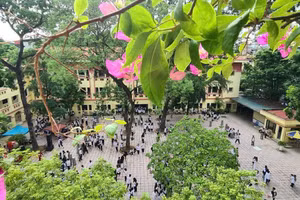 Nhiều trường học bố trí không gian xanh để học sinh có thể vui chơi sau những giờ học căng thẳng.