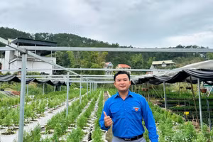 Anh Hoàng Ngọc Vũ (sinh năm 1993, dân tộc Tày, xã Đình Lập, Lạng Sơn) là người phát triển vườn ươm hoàng đàn. Ảnh NVCC