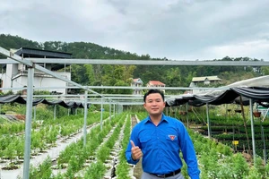 Anh Hoàng Ngọc Vũ (sinh năm 1993, dân tộc Tày, xã Đình Lập, Lạng Sơn) là người phát triển vườn ươm hoàng đàn. Ảnh NVCC