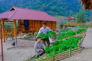 Năm 2020, vợ chồng Sáng quyết định rời Hưng Yên lập nghiệp. Ảnh NVCC.