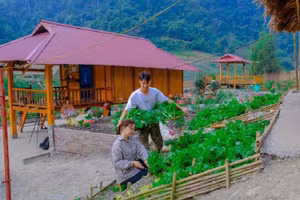 Năm 2020, vợ chồng Sáng quyết định rời Hưng Yên lập nghiệp. Ảnh NVCC.