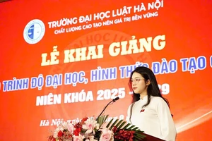 Nguyễn Bảo An cựu học sinh Trường THPT Anh Sơn (Nghệ An).