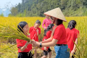 Cô Tươi luôn cố gắng đưa các tiết học thực tế để học trò trải nghiệm.
