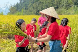 Cô Tươi luôn cố gắng đưa các tiết học thực tế để học trò trải nghiệm.