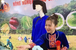 Cô giáo Triệu Thu Hà, Trường Tiểu học Mỏ Na Dương, Lạng Sơn