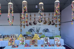 Biến những quả thông thành sản phẩm thủ công, truyền đi văn hoá của địa phương.