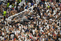 psg-7-5449.jpg