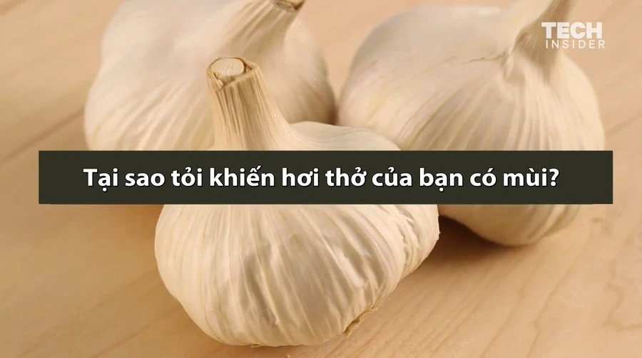 Lý do hơi thở có mùi khó chịu khi ăn tỏi