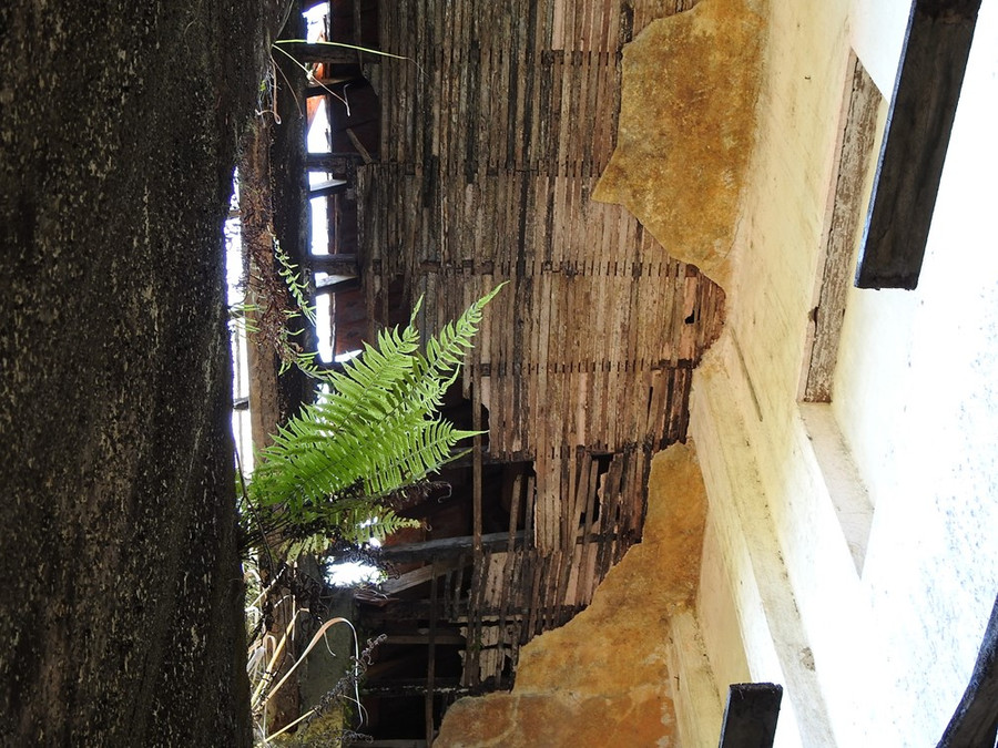 Trần nhà bị rụng nhiều mảng lớn, lộ ra những thanh tre. Khi làm trần nhà, người Pháp dùng tre để làm cốt, bên ngoài trát một lớp vữa. Trần nhà bị rụng nhiều mảng lớn, lộ ra những thanh tre. Khi làm trần nhà, người Pháp dùng tre để làm cốt, bên ngoài trát một lớp vữa.