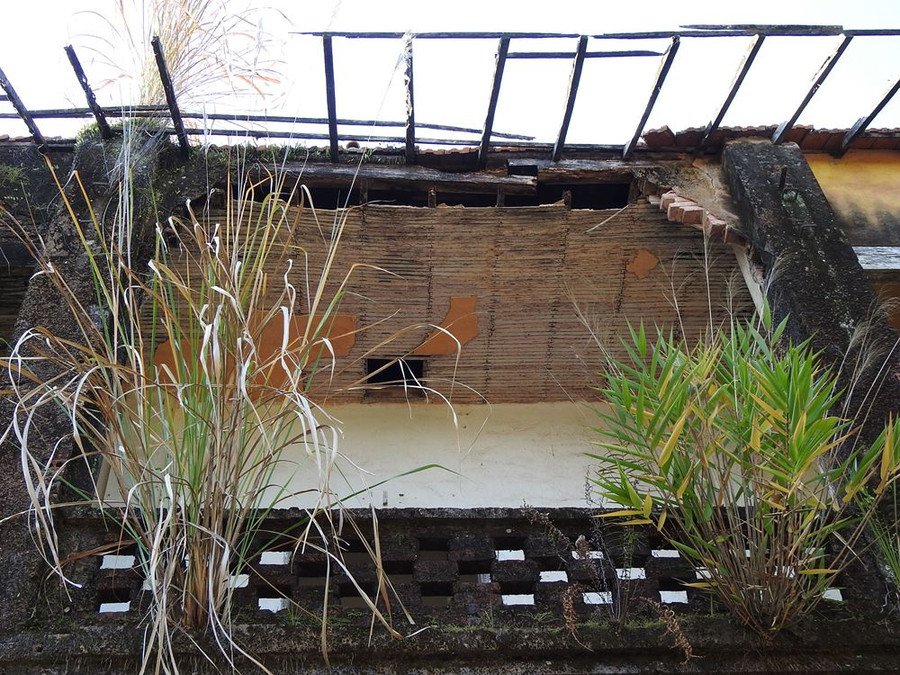 Phía sau tòa nhà hai tầng cỏ mọc um tùm, bám vào tường và các cây cột. Phía sau tòa nhà hai tầng cỏ mọc um tùm, bám vào tường và các cây cột.