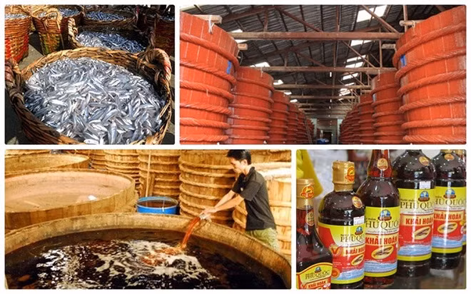 Để có được loại nước mắm nguyên chất ngon, đòi hỏi phải tuân thủ đúng quy trình sản xuất truyền thống vô cùng tỉ mỉ, qua các công đoạn như chọn cá, ướp muối, lên men, kéo rút... Ảnh Báomới.com