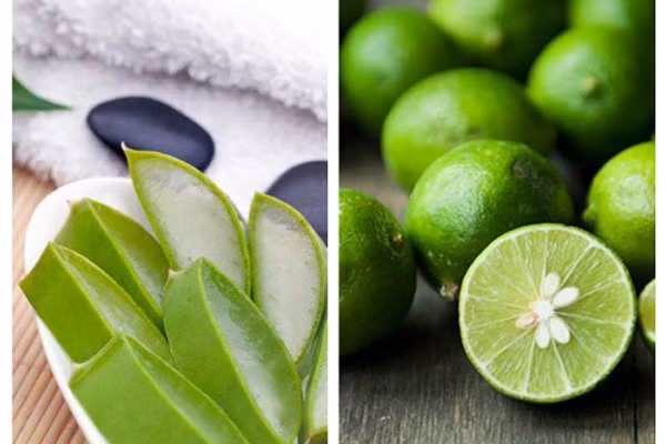 Nước lô hội và chanh giúp bạn giảm cân cực nhanh.