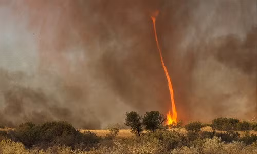 Vòi rồng lửa cao hơn 900 m xuất hiện ở Australia
