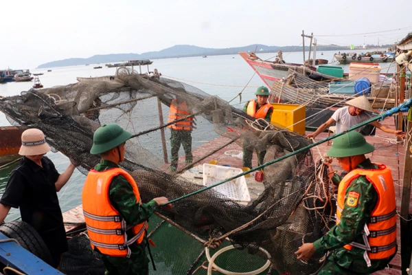 Biên phòng Cô Tô giúp người dân di chuyển lồng bè tránh bão.