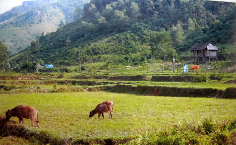 Một góc bản Rào Tre