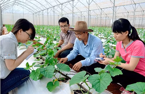 Thúc đẩy phát triển nhân lực nông nghiệp