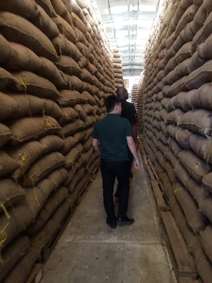 Kho hạt điều thô được Chính phủ Tanzania quản lý sắp xuất khẩu cho Tập đoàn T&T Group