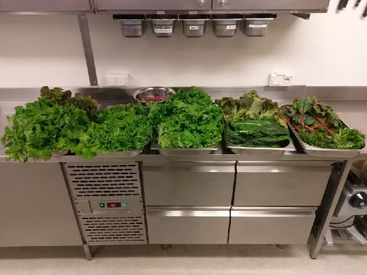 Đã có thể trồng rau tại Nam Cực mà không cần đất và ánh sáng mặt trời ảnh 6