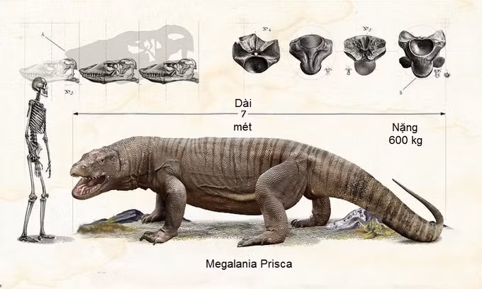 Những quái vật thống trị thế giới thời tiền sử
