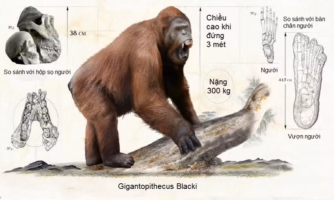 Những quái vật thống trị thế giới thời tiền sử