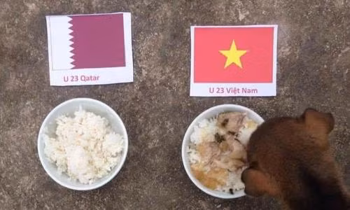 Mạng xã hội ngập hình ảnh ủng hộ tuyển Việt Nam ảnh 5