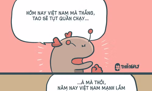 Mạng xã hội ngập hình ảnh ủng hộ tuyển Việt Nam ảnh 6