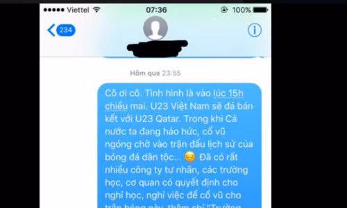 Mạng xã hội ngập hình ảnh ủng hộ tuyển Việt Nam ảnh 8