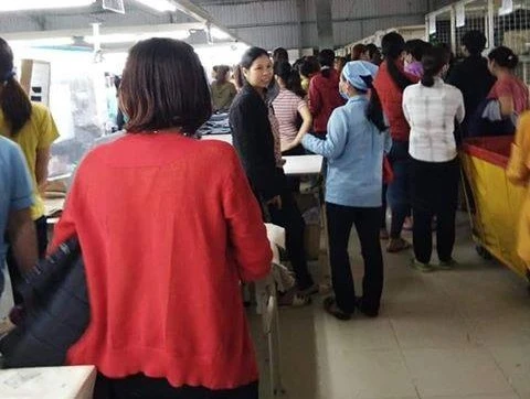 Phú Thọ: Công nhân Công ty TNHH Sung Jin Vina ngừng việc tập thể