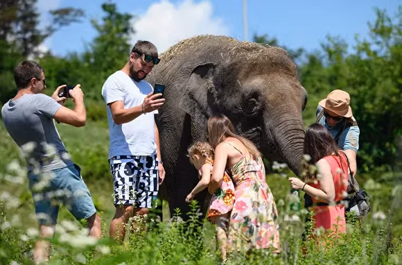 Các con vật được đảm bảo nghỉ ngơi đầy đủ trong tự nhiên.