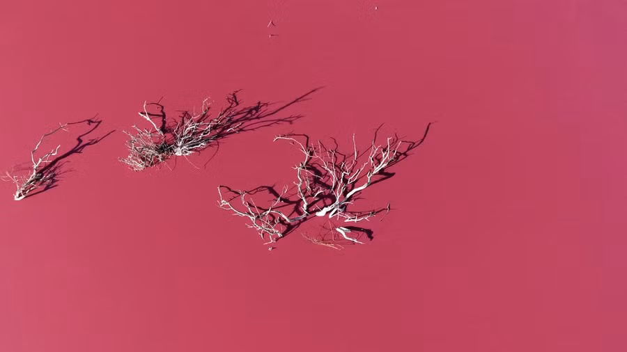 Các quan chức môi trường địa phương và khu vực đang điều tra nguyên nhân và thiệt hại tiềm ẩn đối với các hồ nhưng vẫn chưa đưa ra kết luận nào.